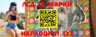 apvp Кингисепп