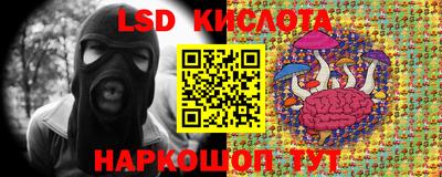 apvp Кингисепп
