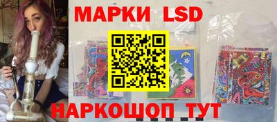 apvp Кингисепп