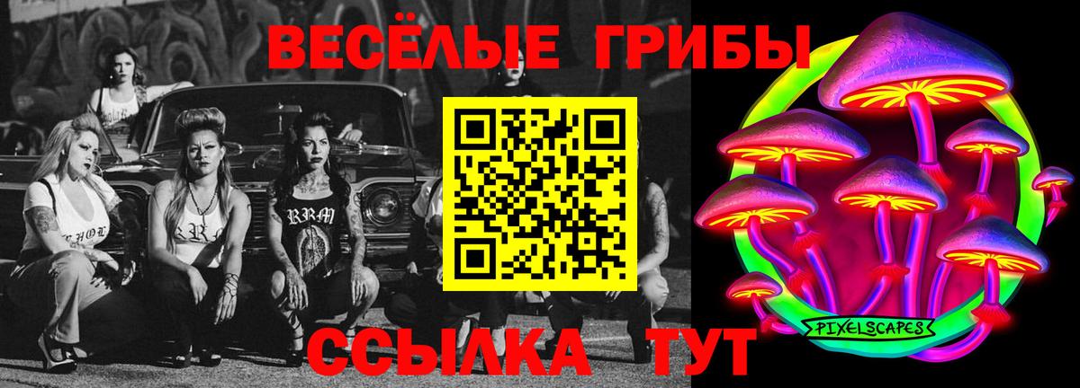 Псилоцибиновые грибы мухоморы Дзержинский